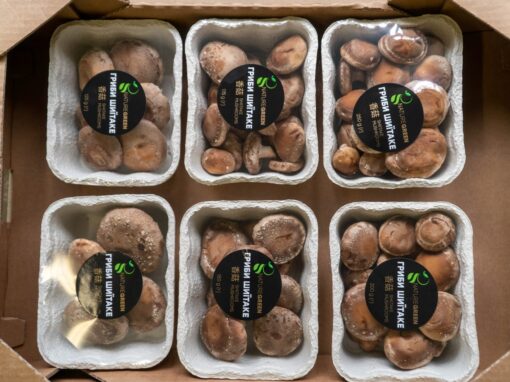 Packaging - mushrooms retail